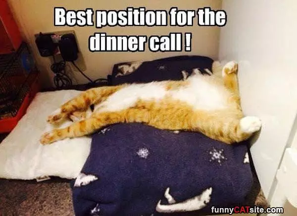 Dinner Call