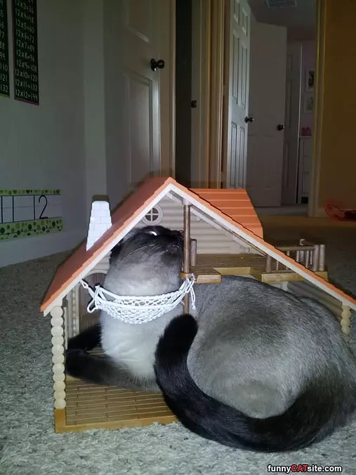 I Fit In My House