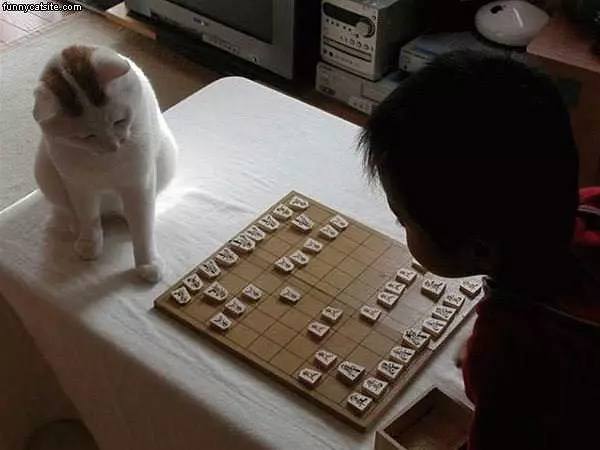 This Kids In Trouble