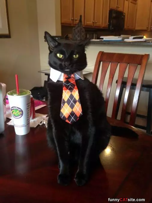 Dressed For Success