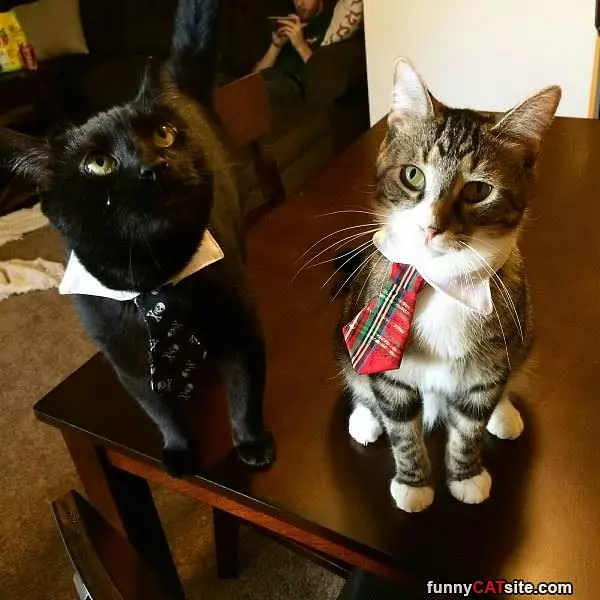 Ready For Business