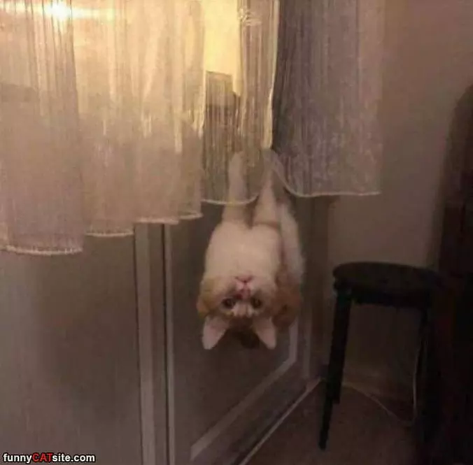 Upside Down