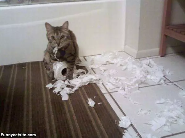 Made A Little Mess