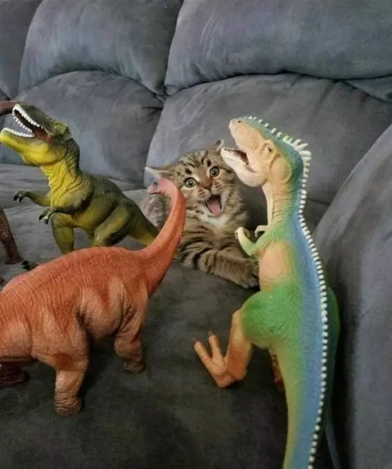 Dinos
