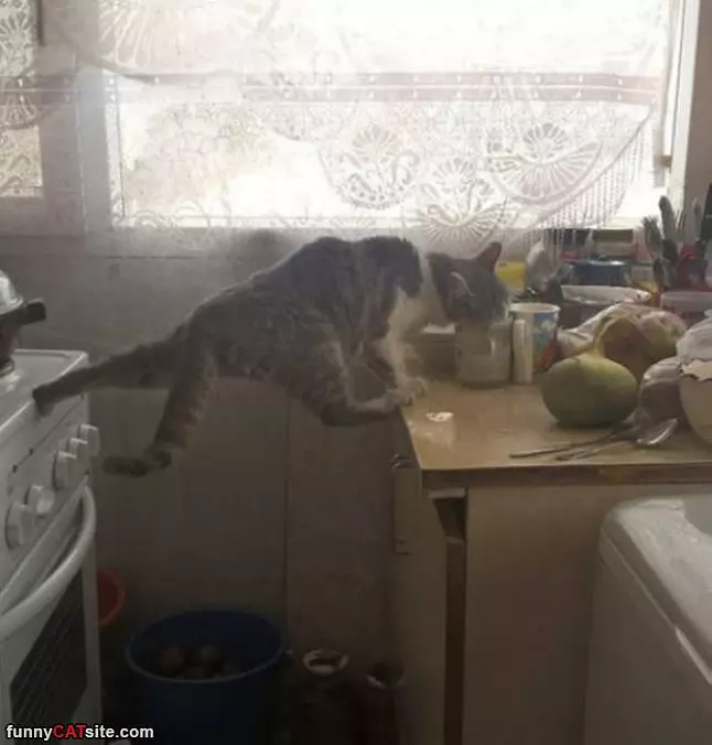 Hanging In The Kitchen