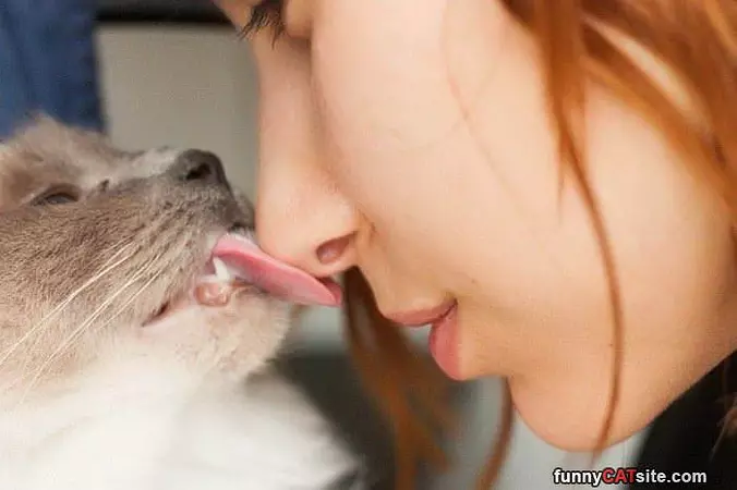Give A Lick