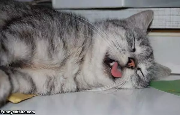 I Sleep Funny