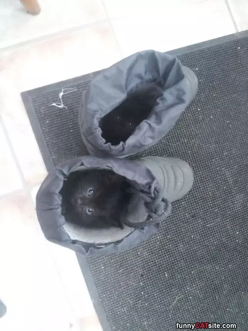 These Boots Are Warm