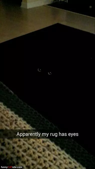 My Rug Has Eyes
