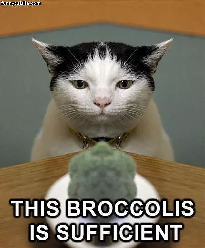 Brocolis