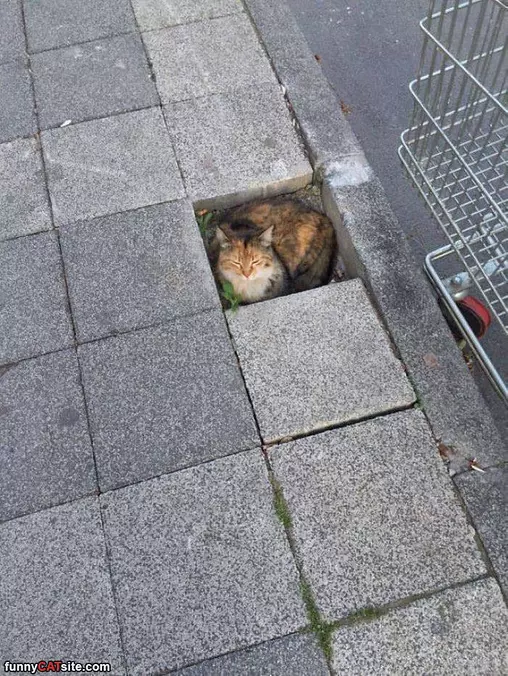 I Like My Spot