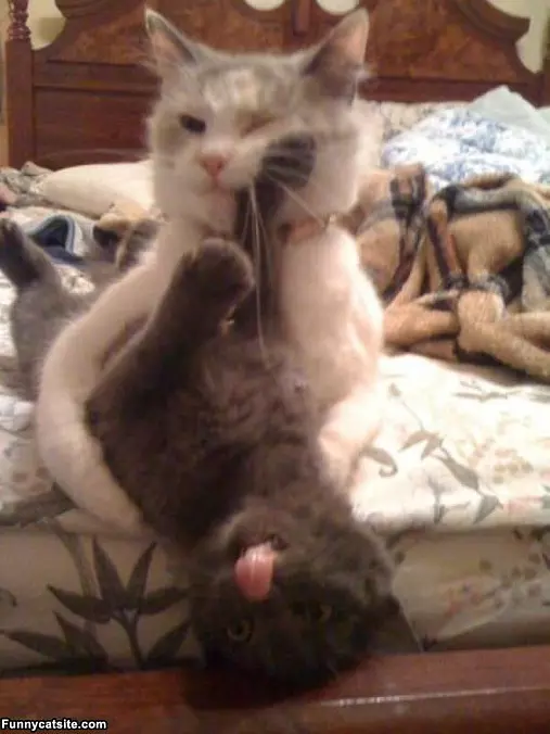 Get Offfff Of Meee