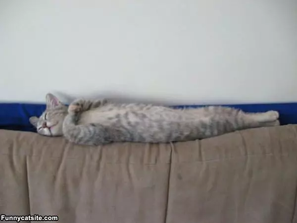 Sleep How I Wants