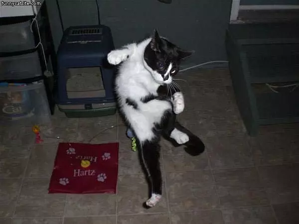 Jump Kicker
