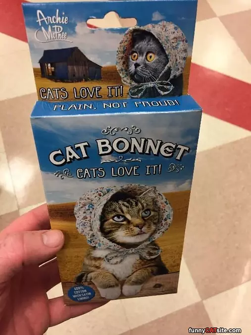 Cats Love It