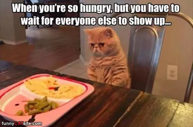 Just Waiting