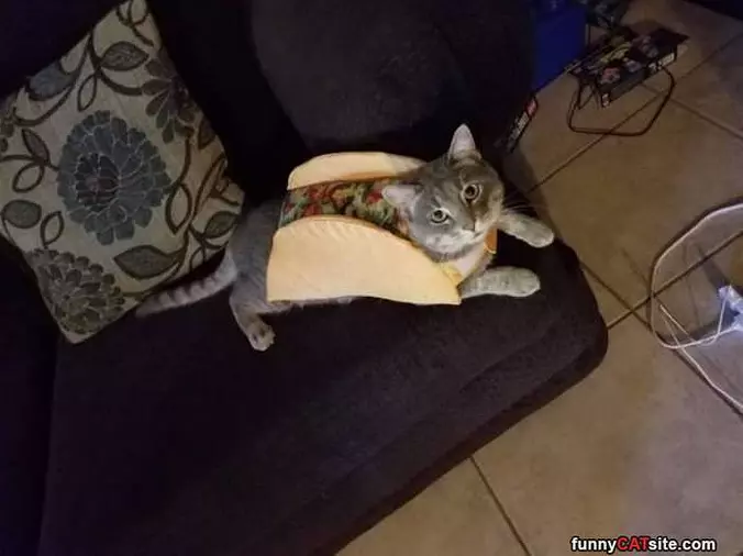 I Am A Pizza Taco