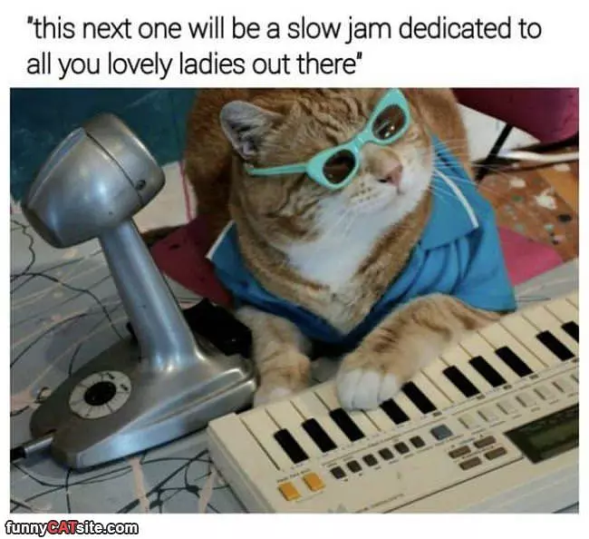 A Slow Jam For The Ladies