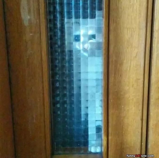 Hey Can You Let Me In Now