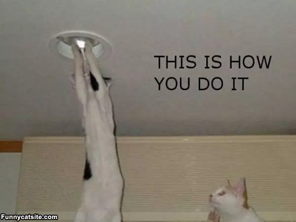 This Is How