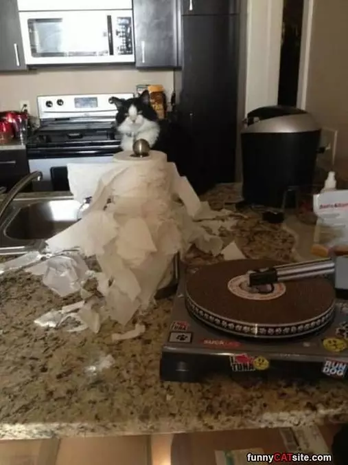It Wasnt Me