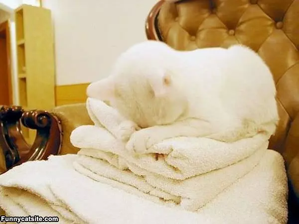 Love Towels