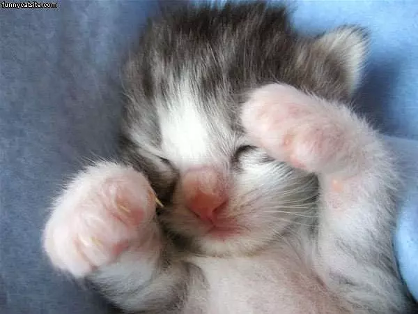 Dont Wake Me