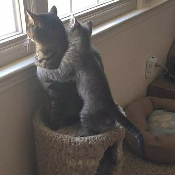 Let Me Get Up Here