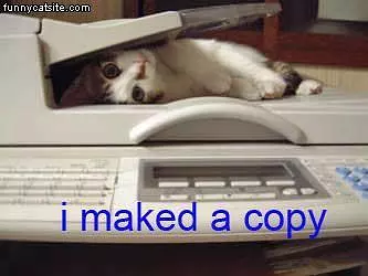 Maked A Copy