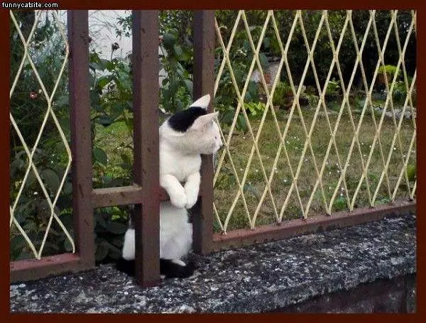 Just Relaxing