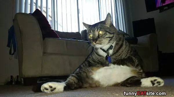 Just Relaxing