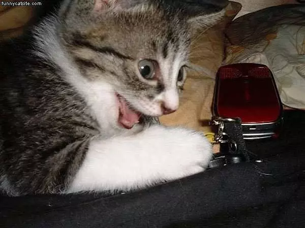 Suprised 