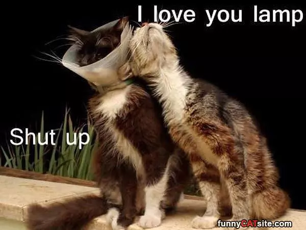 I Love You Lamp