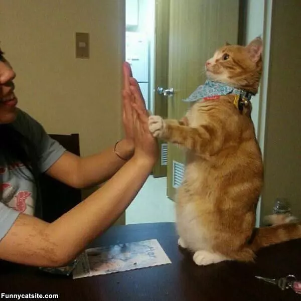 Hand Slap