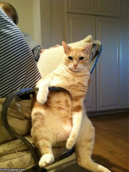 Having Me A Lazy Time