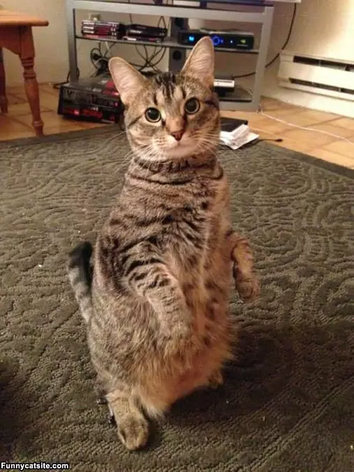 Just Standing Around