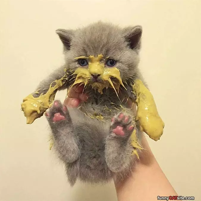 I Just Want It