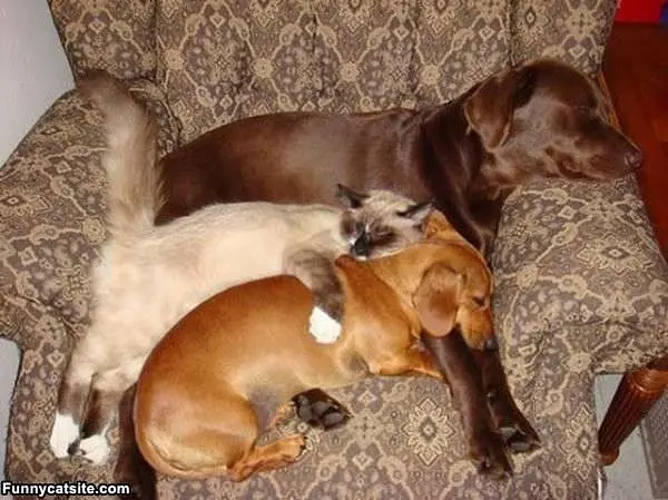 All Keeping Warm