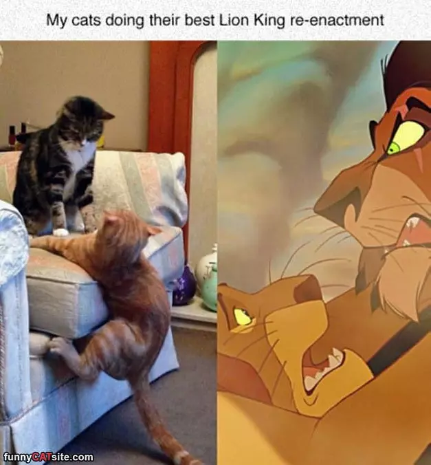 The Lion King