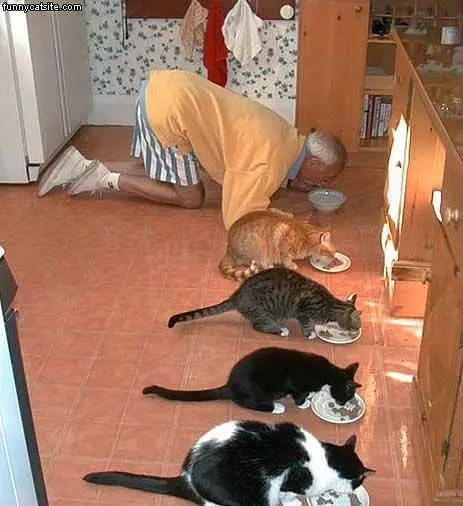 Everyone Eating Together
