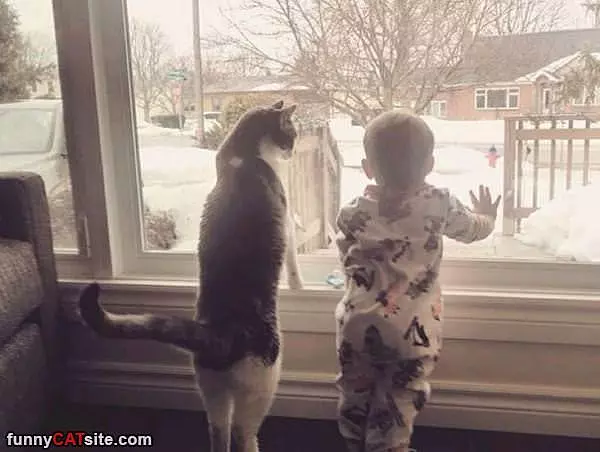 Whats Out There