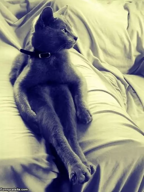 Sitting Proper