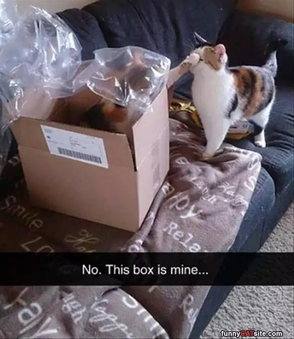 No This Box Is Mine