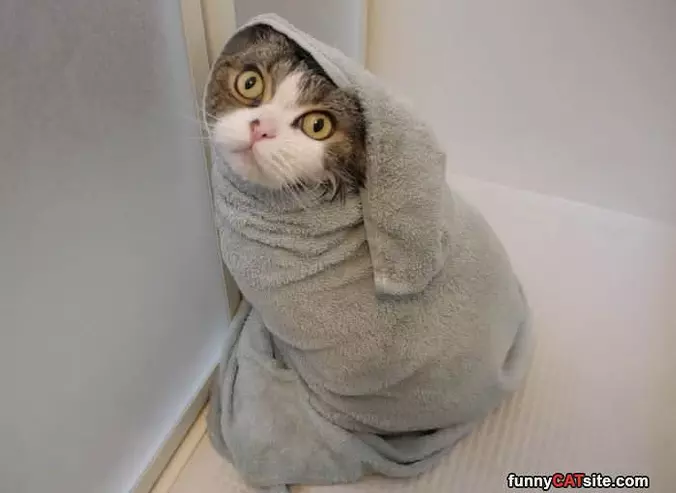Bundles Up Tight