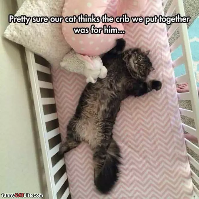 Is This For Me