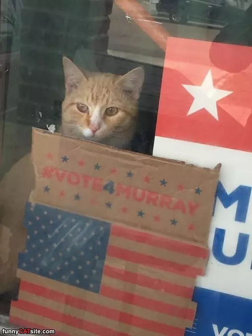 Got My Vote