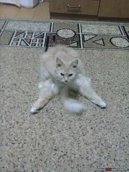 Just Chilling Here