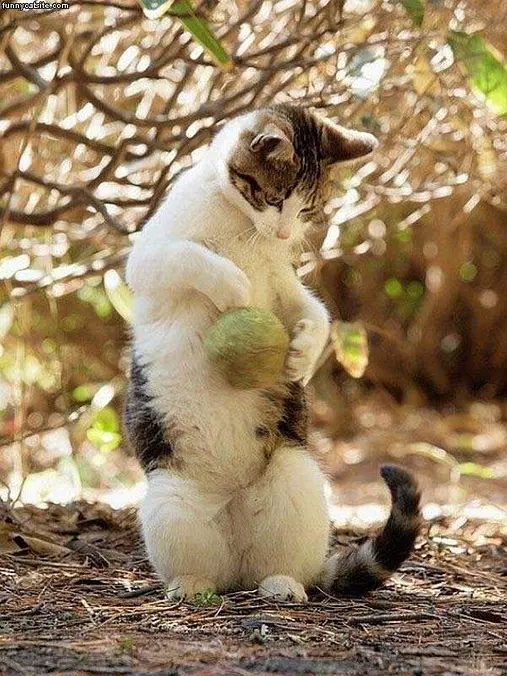 Playing Tennis