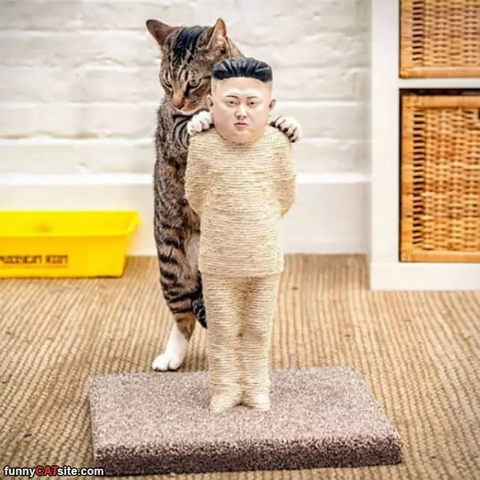 My Scratching Post