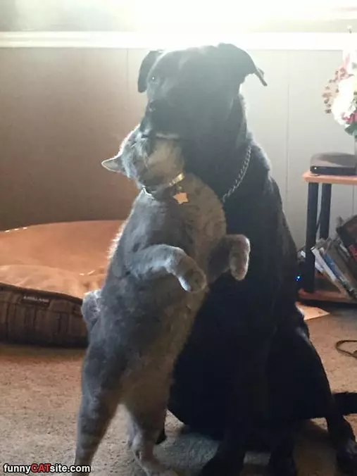 Cmon Just Hug Me